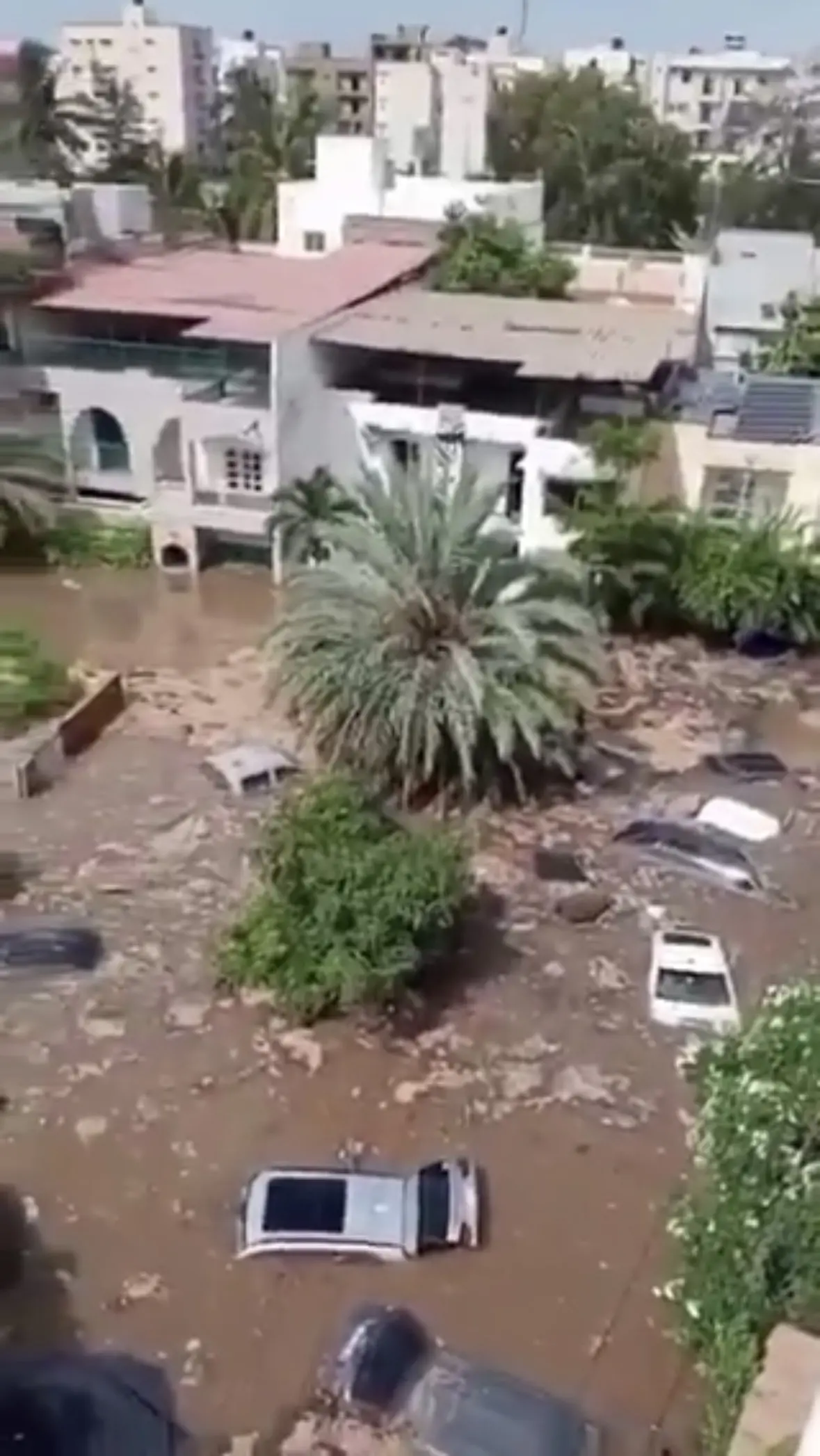 Des voitures partiellement submergées et de la végétation dans une rue inondée, identifiée par le contributeur comme la cité Bellevue à Hann Maristes.
